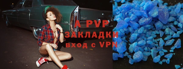 шишки Елизово