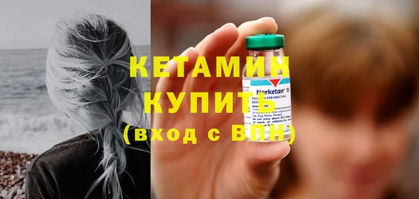 шишки Елизово