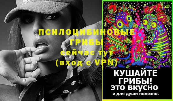 jwh Ельня