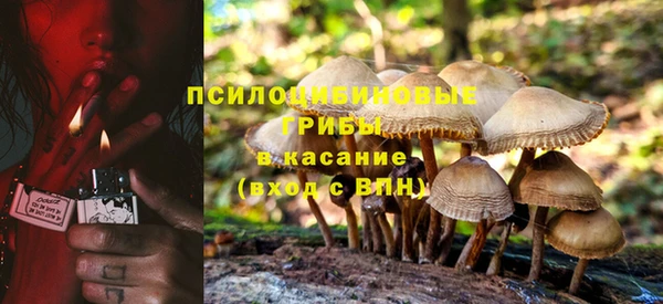 шишки Елизово