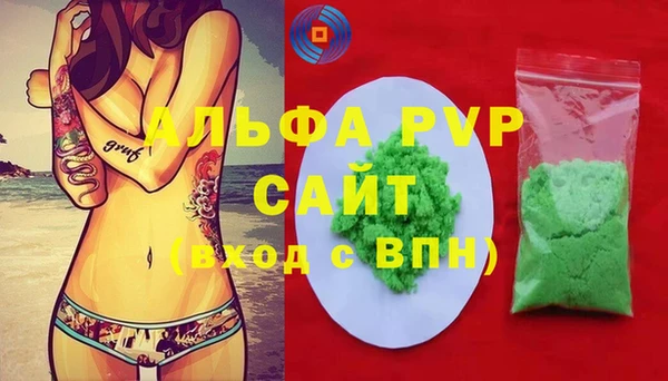 шишки Елизово