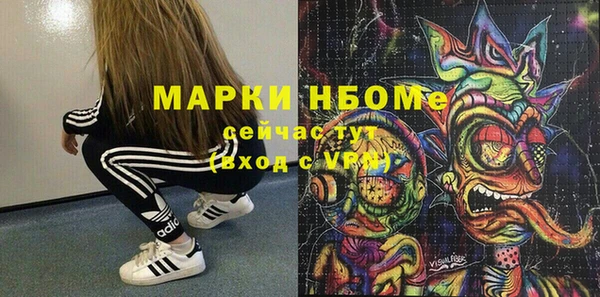 шишки Елизово