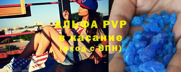 шишки Елизово