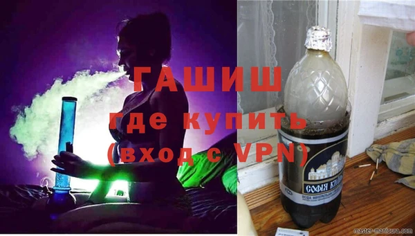 шишки Елизово