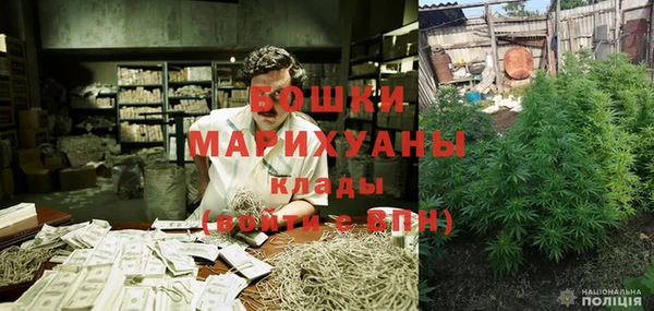 шишки Елизово