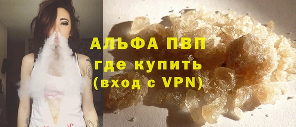 шишки Елизово
