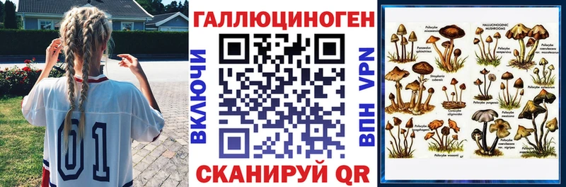 Купить где  Кириши  Галлюциногенные грибы GOLDEN TEACHER 